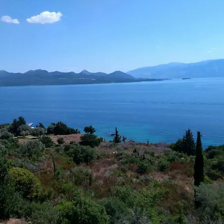 Willa Captain Stavros *